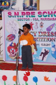 Fancy Dress Competition (8)